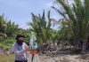Dịch vụ đo đạc nhà đất Nhà Bè – Giải pháp pháp lý nhanh chóng, chính xác