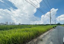 Để đột phá, TP.HCM cần điều gì?