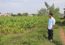 Thông tin mới nhất về mức đền bù đất nông nghiệp không có giấy tờ
