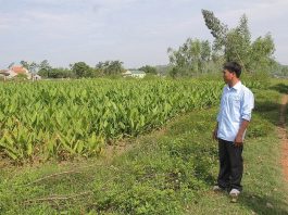 Thông tin mới nhất về mức đền bù đất nông nghiệp không có giấy tờ