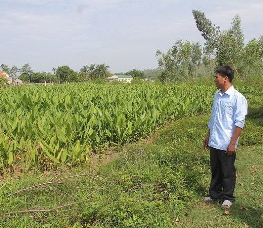 Thông tin mới nhất về mức đền bù đất nông nghiệp không có giấy tờ