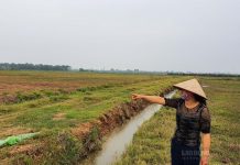 Đầu tư mua đất nông nghiệp chuyển lên thổ cư có lời không?
