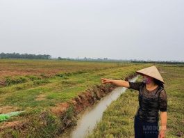 Đầu tư mua đất nông nghiệp chuyển lên thổ cư có lời không?