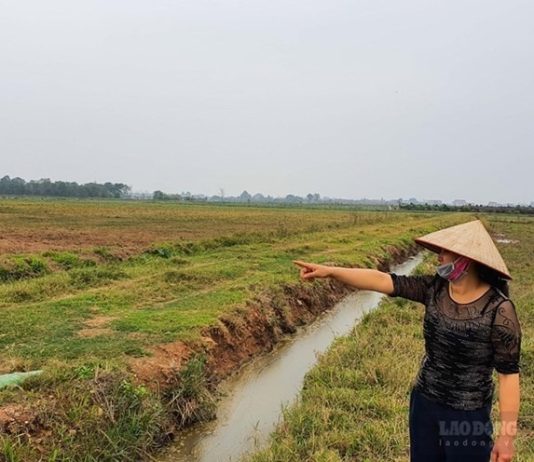 Đầu tư mua đất nông nghiệp chuyển lên thổ cư có lời không?