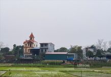 Mua đất nông nghiệp không có sổ đỏ xử lí như thế nào?