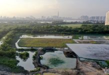 TP.HCM: Chuyển đất trồng lúa để làm dự án phải lấy ý kiến dân cư