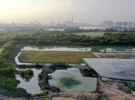 TP.HCM: Chuyển đất trồng lúa để làm dự án phải lấy ý kiến dân cư