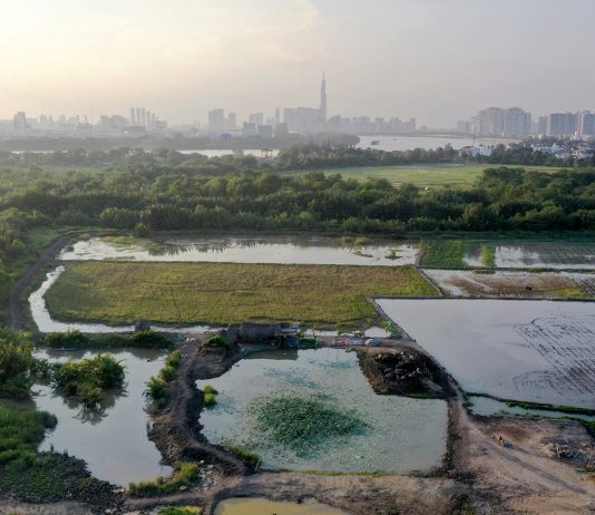 TP.HCM: Chuyển đất trồng lúa để làm dự án phải lấy ý kiến dân cư