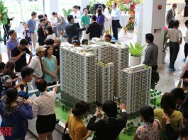 Năm 2023, hơn 22.000 căn nhà tại TP.HCM được cấp sổ hồng