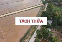 Chi phí tách thửa đất trồng cây lâu năm người dân cần biết