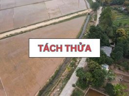 Chi phí tách thửa đất trồng cây lâu năm người dân cần biết