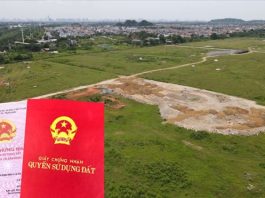 Quy định về đứng tên sổ đỏ khi có chung quyền sử dụng đất