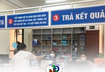TP.HCM cử 206 viên chức hỗ trợ đăng ký đất đai cho UBND cấp xã
