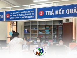 TP.HCM cử 206 viên chức hỗ trợ đăng ký đất đai cho UBND cấp xã