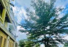 Đất thổ cư trục chính 84m2 tại KDC Ven Sông Nguyễn Bình