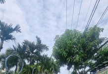 Đất thổ cư hẻm xe hơi tại 1419 Lê Văn Lương , Phước Kiển cũ